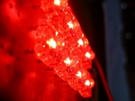 090221_Lumireds004.JPG